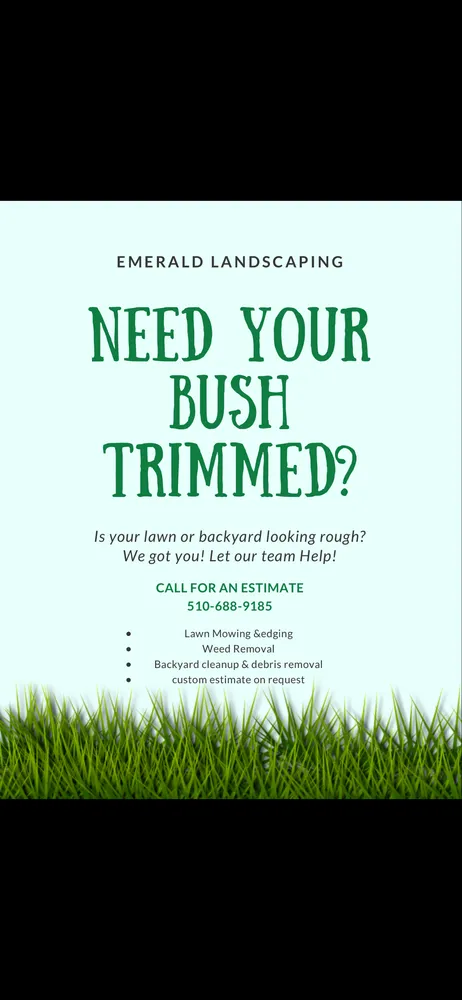 Affordable lawn mowing service in Merced, CA by Emerald Landscaping