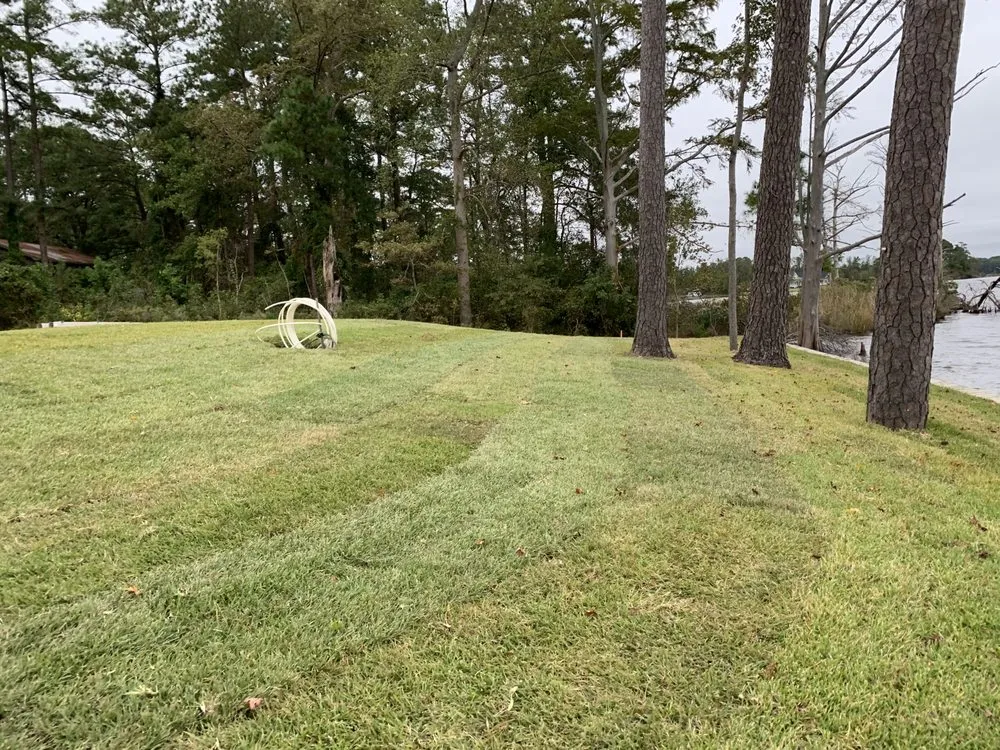 Local residential landscaping experts serving Washington, NC - Emerald Landscaping