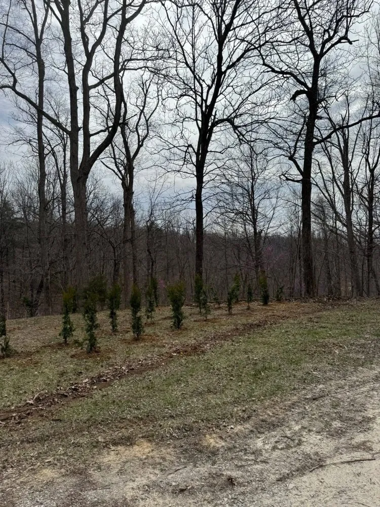 Affordable landscape design in Fox Chase, KY - Emerald Lawn & Landscape