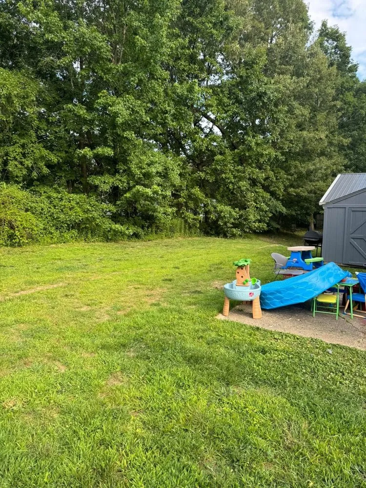 Local lawn care service for year-round maintenance across Fox Chase, KY - Emerald Lawn & Landscape