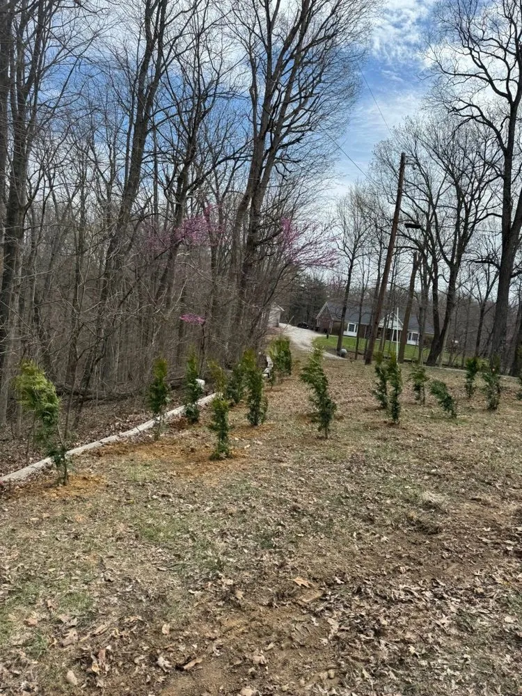 Trusted yard cleanup service in Fox Chase, KY - Emerald Lawn & Landscape