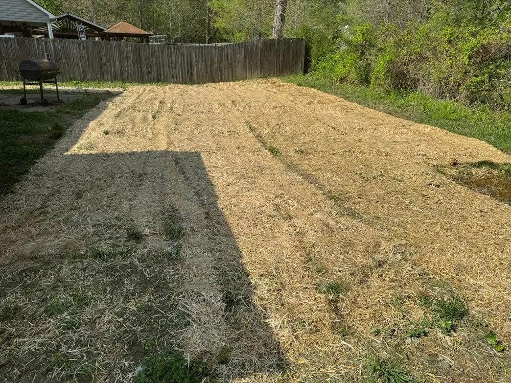 Top-rated residential landscaping for outdoor upgrades in Fox Chase, KY by Emerald Lawn & Landscape
