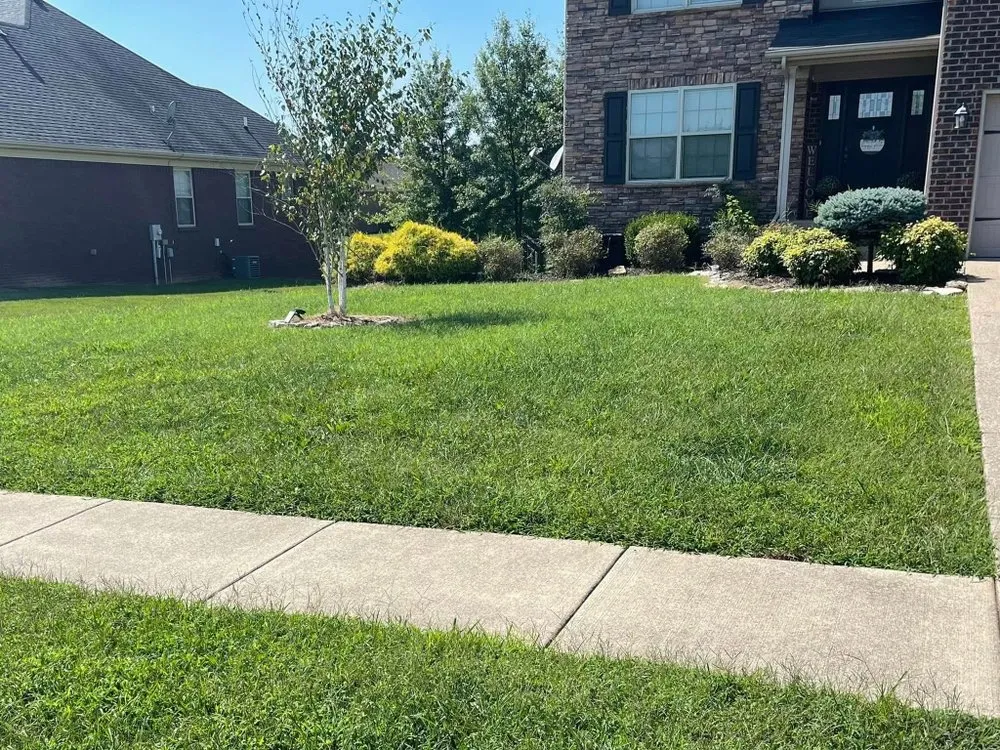 Top-rated lawn care service in Fox Chase, KY - Emerald Lawn & Landscape