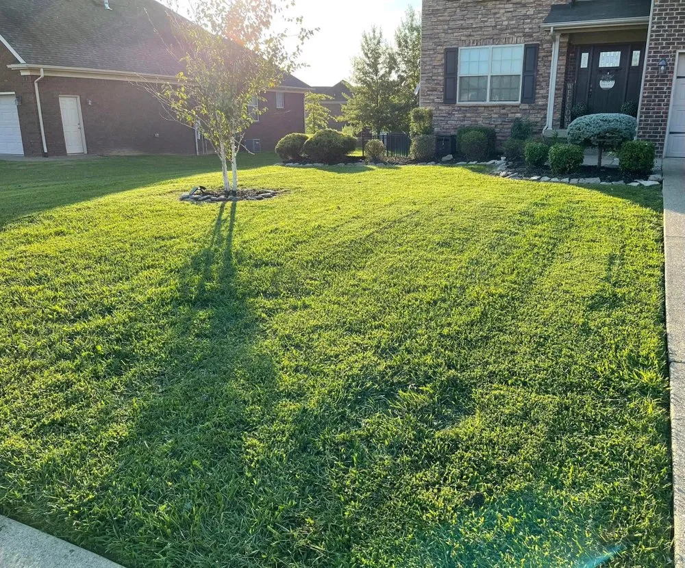 Trusted landscaping services in Fox Chase, KY - Emerald Lawn & Landscape