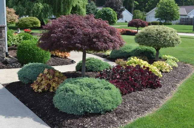 Trusted landscaping services in Maineville, OH by Emerald Lawn & Turf Care