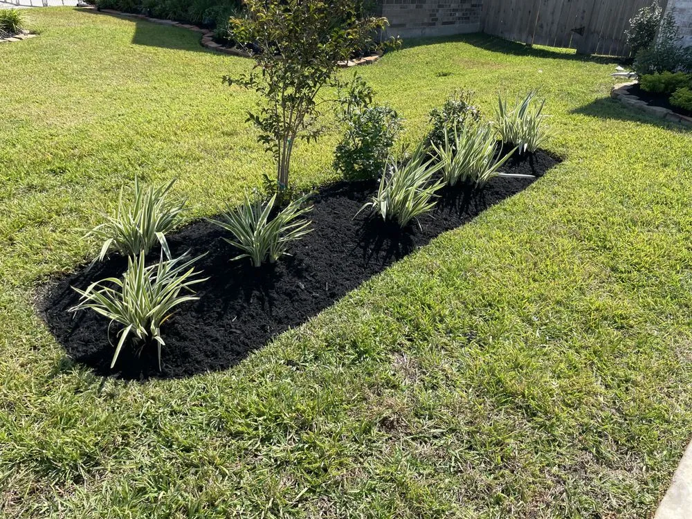 Reliable landscape design experts serving Hockley, TX - Emerald Lawn Care