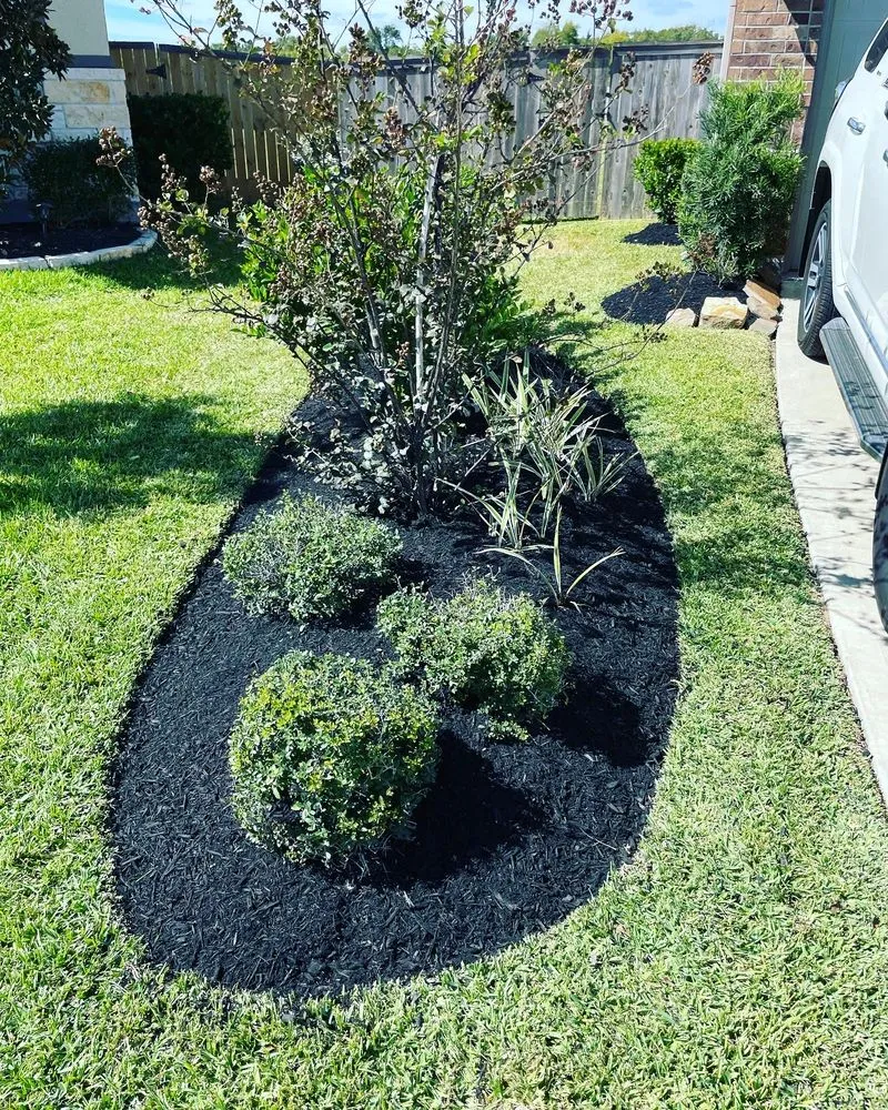 Trusted yard cleanup service in Hockley, TX by Emerald Lawn Care