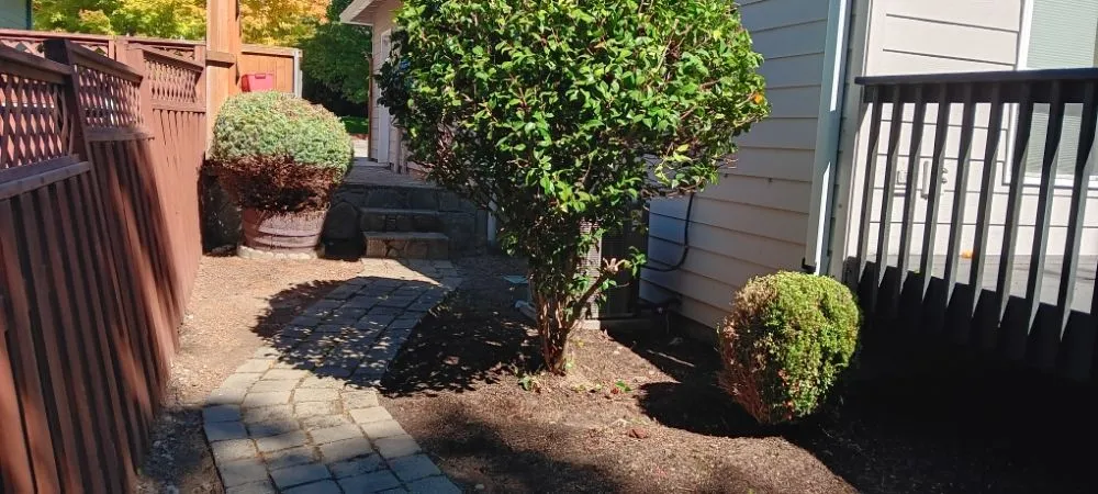 Professional landscaping services experts serving Beaverton, OR - Emerald Lawn Care Maintenance