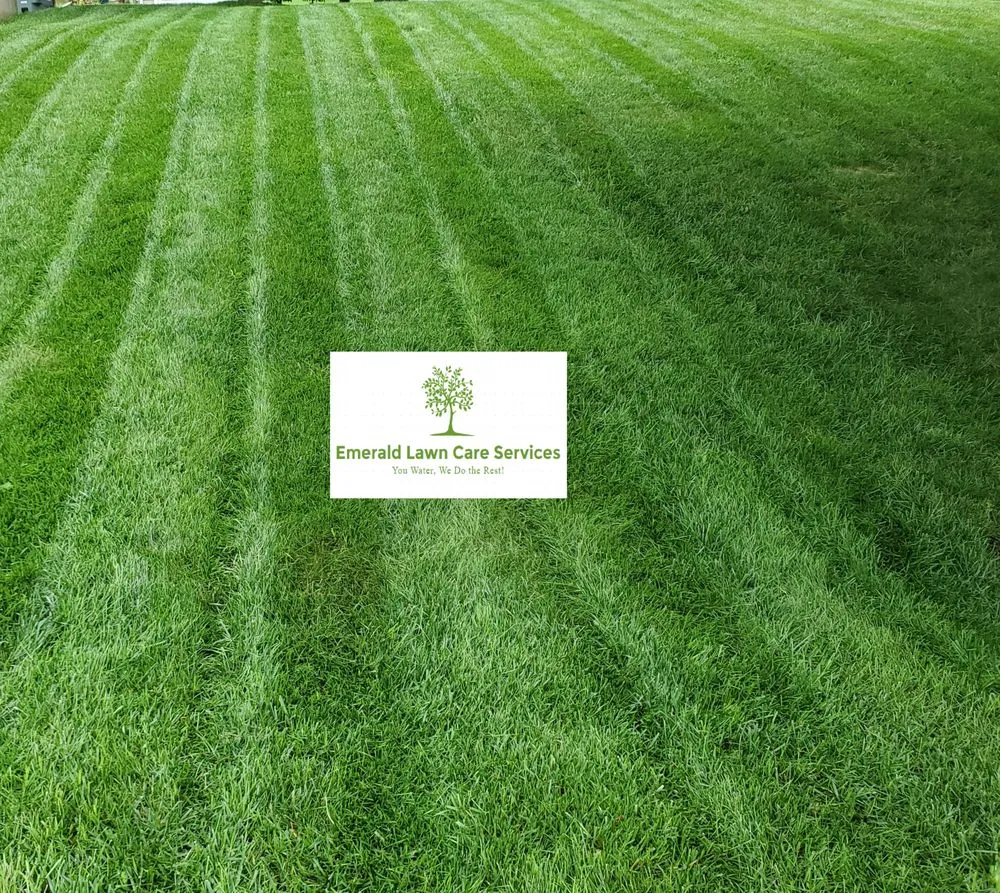 Reliable landscape installation for homes across Coatesville, PA - Emerald Lawn Care Services