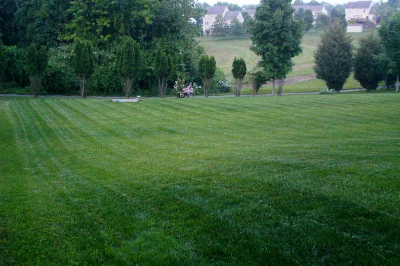 Top-rated lawn care service experts serving Coatesville, PA - Emerald Lawn Care Services