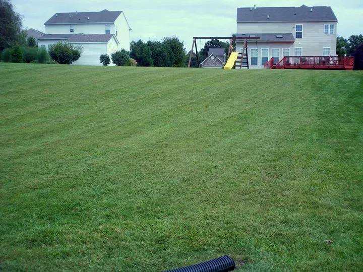 Affordable yard maintenance experts serving Coatesville, PA - Emerald Lawn Care Services