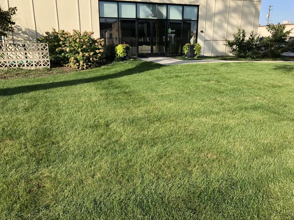 Reliable landscape design experts serving Wheeling, IL - Emerald Lawn Care