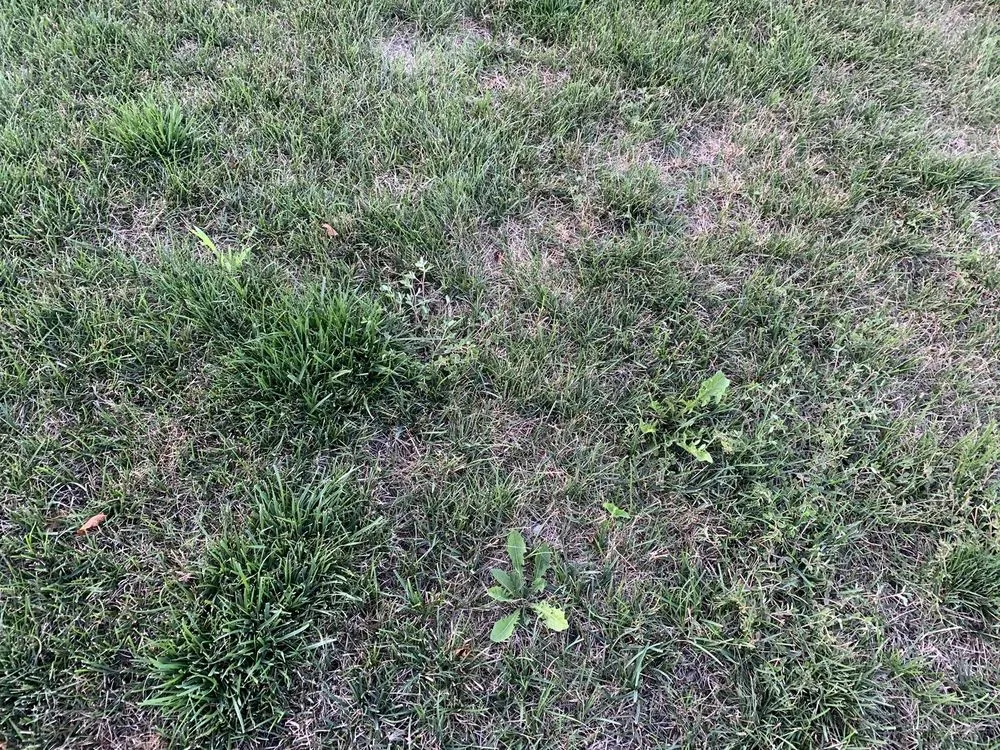 Reliable landscape installation in Wheeling, IL by Emerald Lawn Care