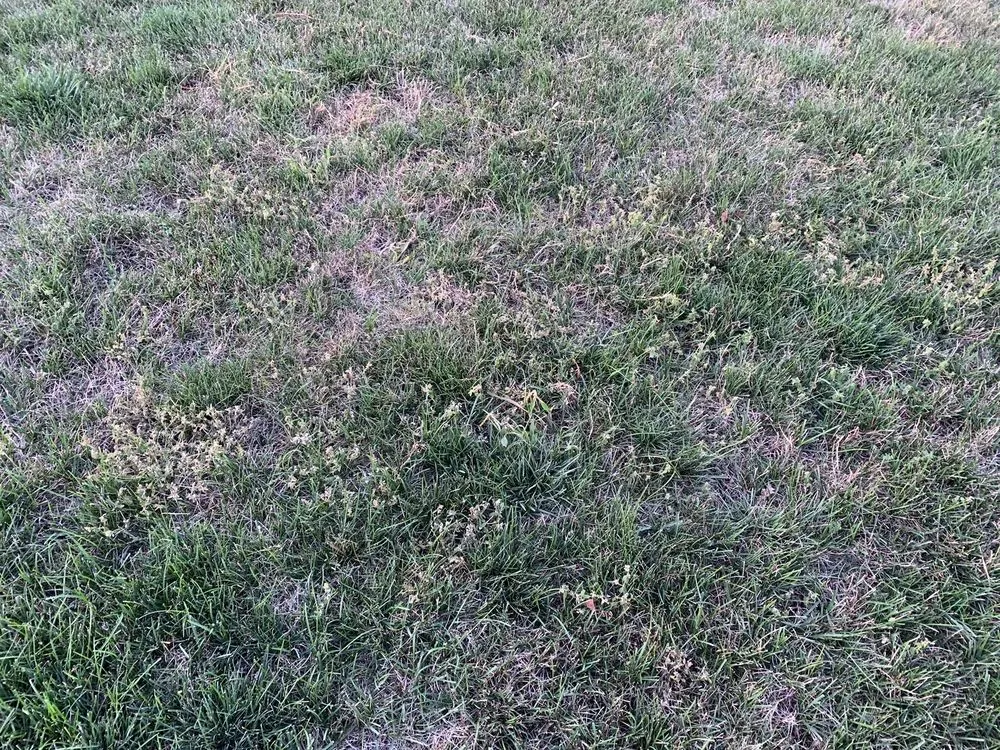 Professional landscape design for residential properties in Wheeling, IL by Emerald Lawn Care