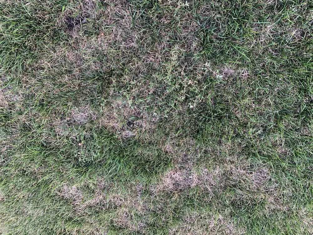 Top-rated landscape design near you across Wheeling, IL - Emerald Lawn Care