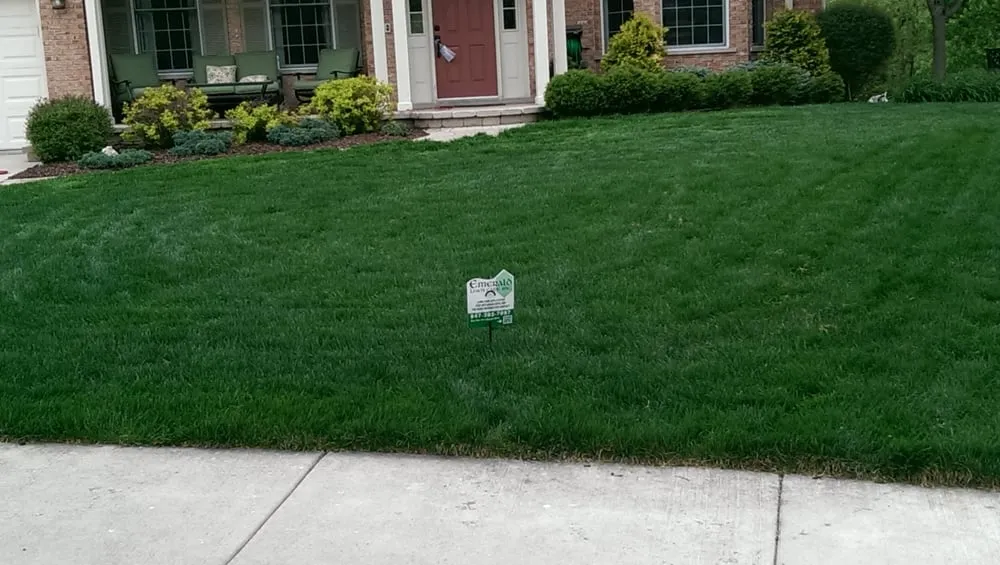 Affordable lawn care service in Wheeling, IL by Emerald Lawn Care