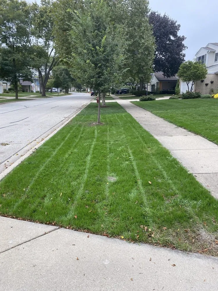 Affordable residential landscaping experts serving Wheeling, IL - Emerald Lawn Care
