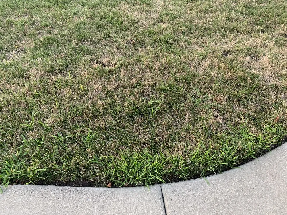 Affordable outdoor landscaping for outdoor upgrades across Wheeling, IL - Emerald Lawn Care