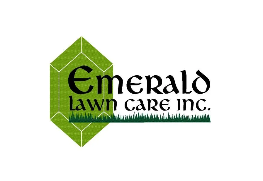 Trusted yard cleanup service for year-round maintenance in Wheeling, IL by Emerald Lawn Care
