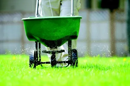 Emerald Lawn Care