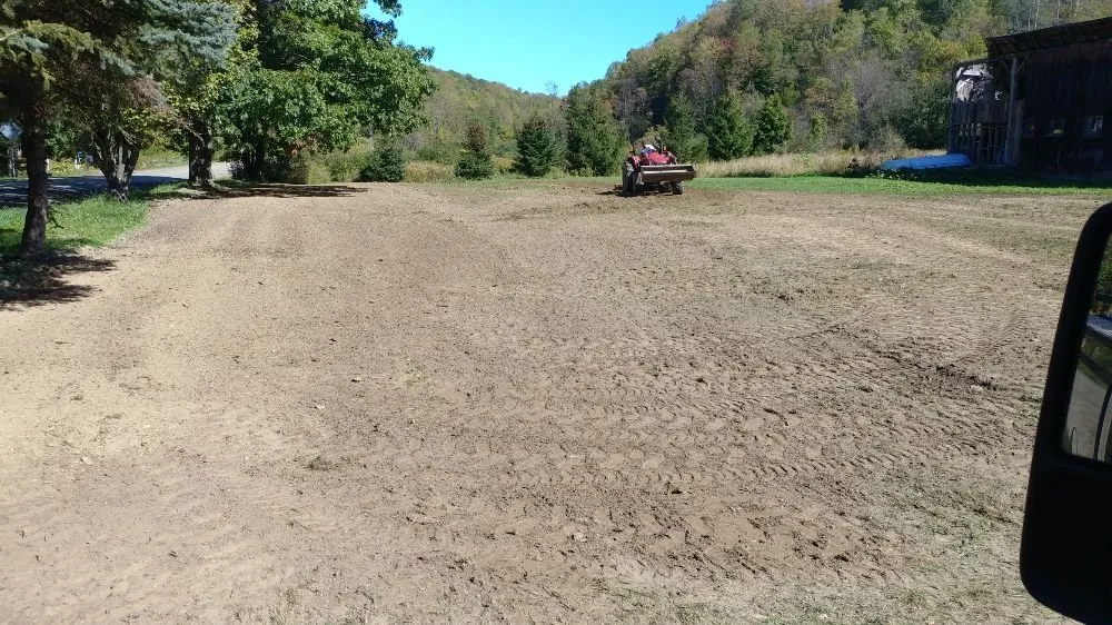 Expert yard maintenance experts serving East Otto, NY - Emerald Lawn Service Plus