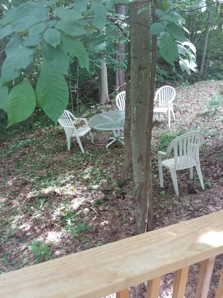 Professional residential landscaping with custom design in East Otto, NY by Emerald Lawn Service Plus