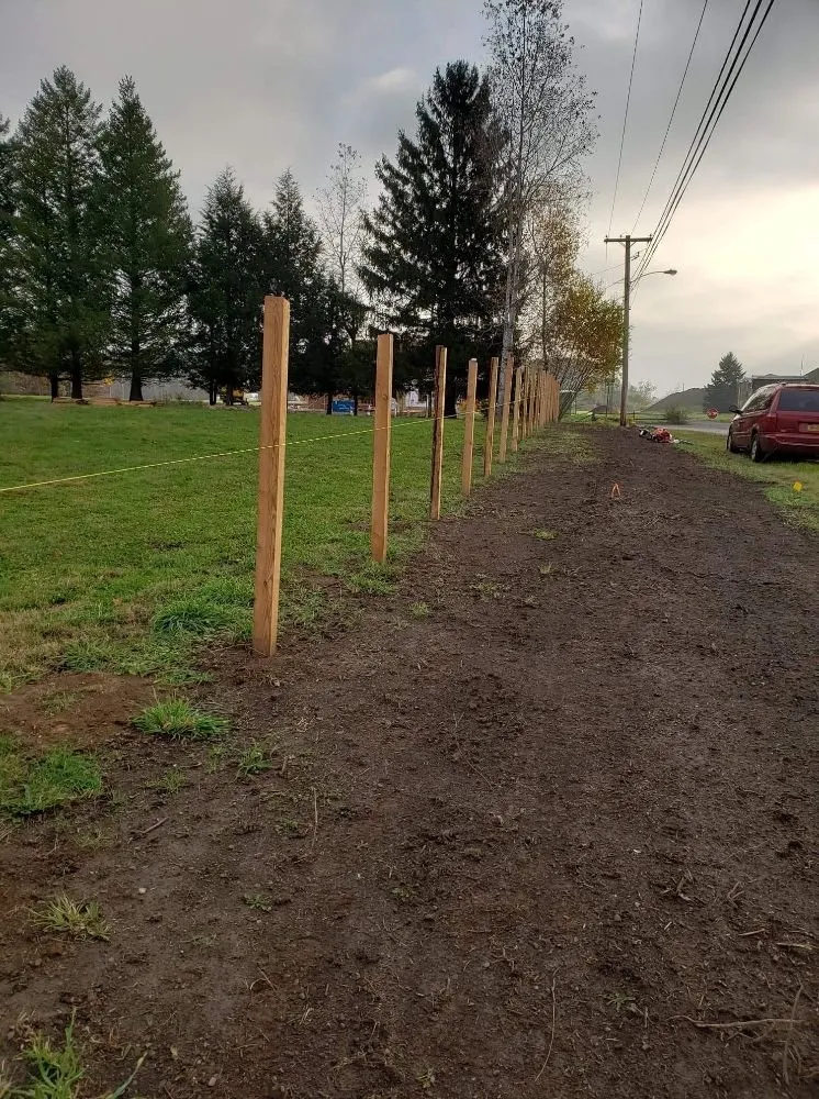 Local yard cleanup service in East Otto, NY by Emerald Lawn Service Plus