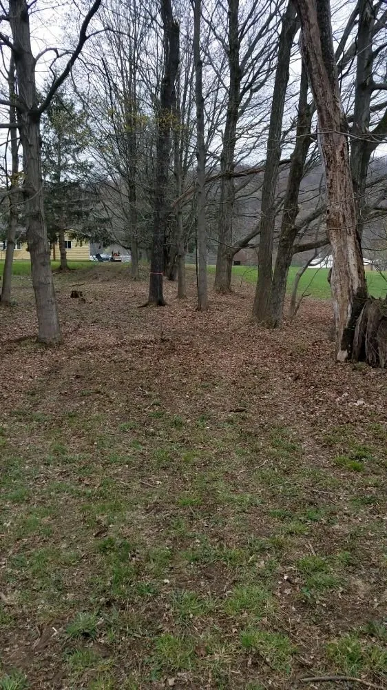 Affordable landscape design for beautiful yards in East Otto, NY by Emerald Lawn Service Plus