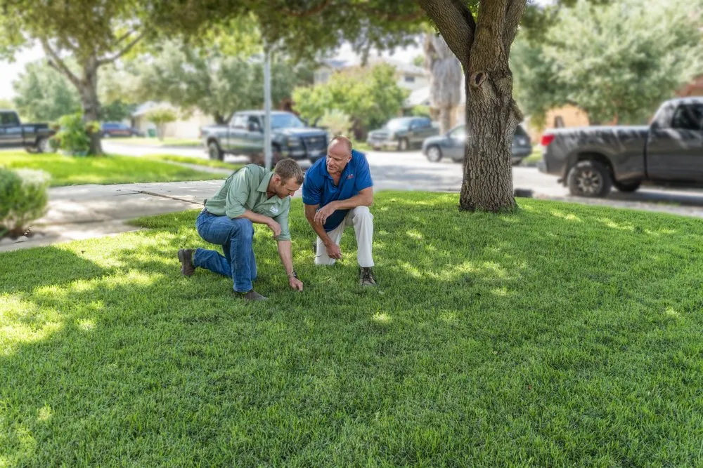 Affordable yard cleanup service in Katy, TX - Emerald Lawns