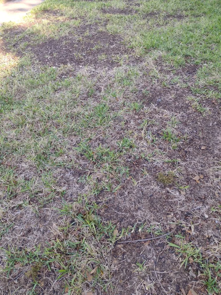 Trusted outdoor landscaping in Katy, TX by Emerald Lawns