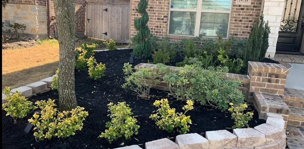 Professional lawn care service for year-round maintenance across Katy, TX - Emerald Lawns