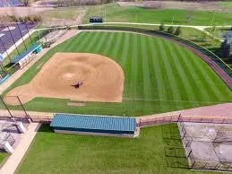 Professional outdoor landscaping in Katy, TX - Emerald Lawns