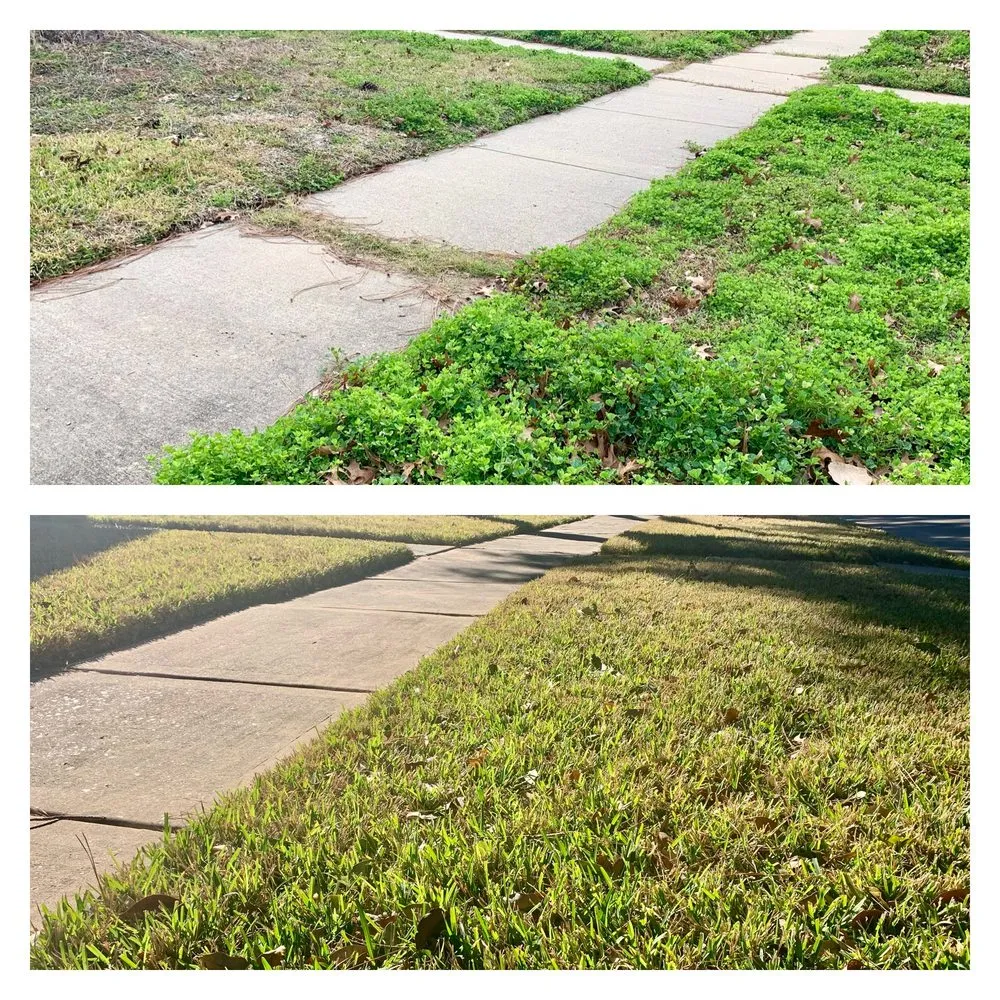 Professional yard cleanup service in Katy, TX - Emerald Lawns