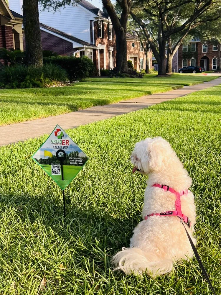 Expert outdoor landscaping in Katy, TX by Emerald Lawns