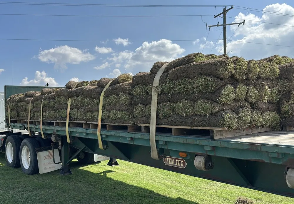 Expert landscape installation in Manila, AR - Emerald Lawns