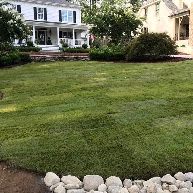 Professional landscape design with custom design in Manila, AR by Emerald Lawns