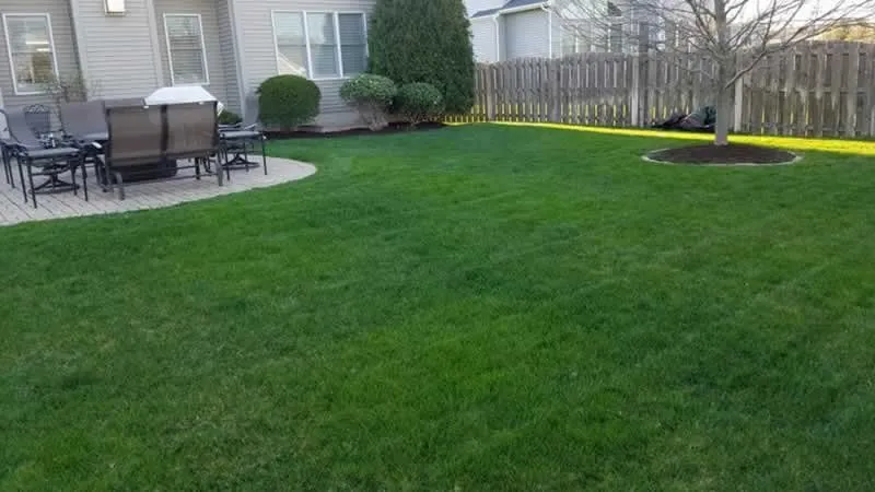 Reliable yard cleanup service in Manila, AR - Emerald Lawns