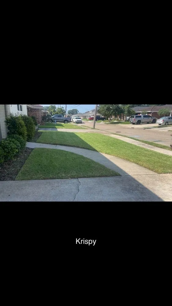 Reliable lawn care service in New Orleans, LA - Emerald Lawns
