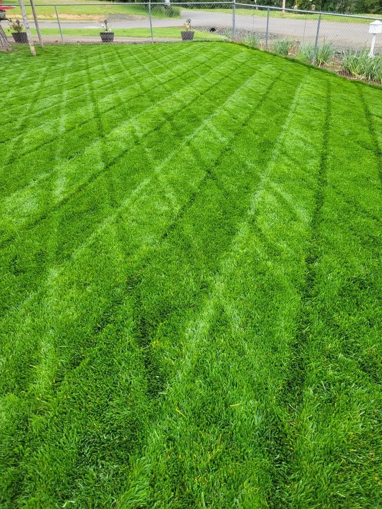 Reliable lawn care service for outdoor upgrades in Roseburg, OR by Emerald Lawns