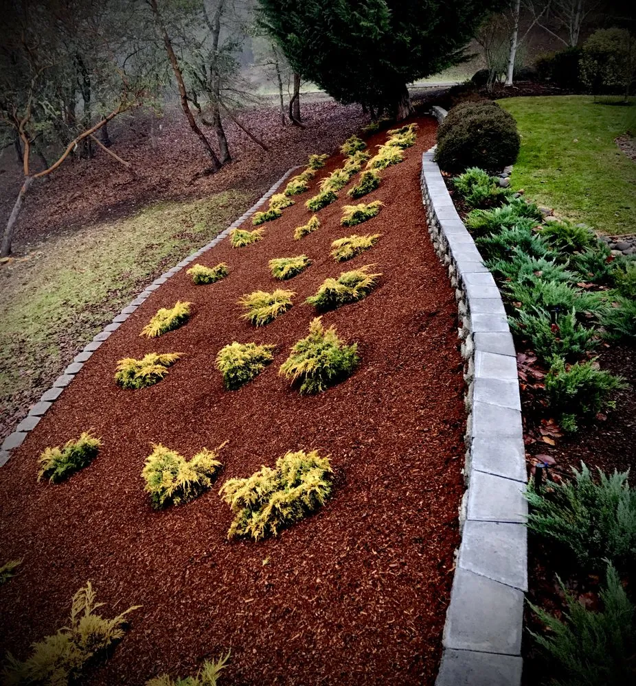 Expert landscape design in Roseburg, OR by Emerald Lawns