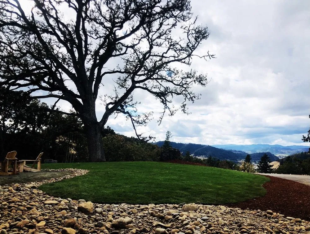 Expert lawn mowing service experts serving Roseburg, OR - Emerald Lawns