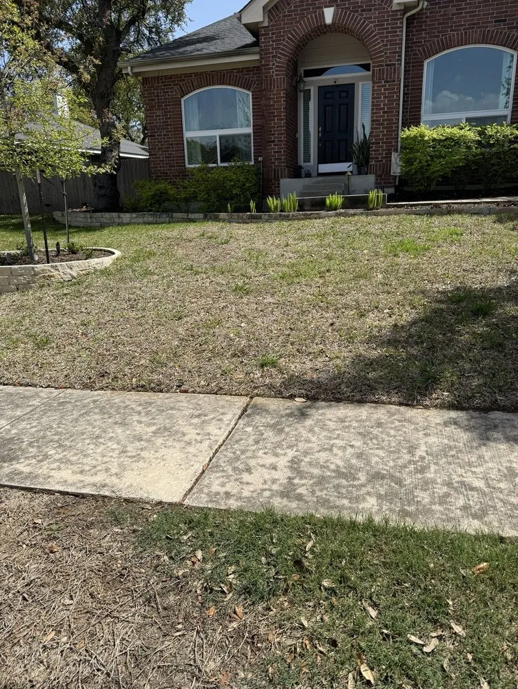 Affordable lawn care service in Round Rock, TX by Emerald Lawns