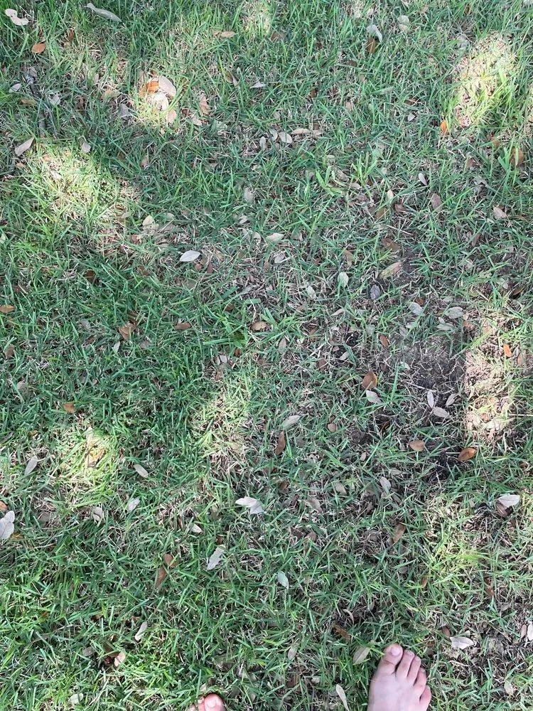 Expert residential landscaping for residential properties across Round Rock, TX - Emerald Lawns