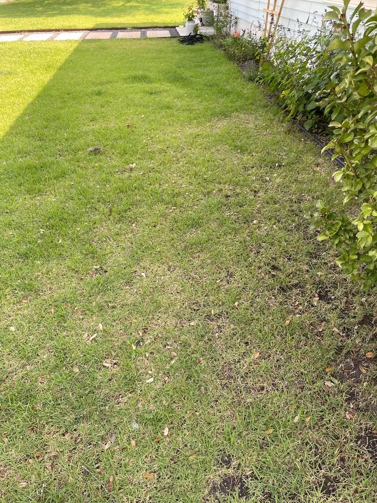 Expert landscape installation experts serving Round Rock, TX - Emerald Lawns