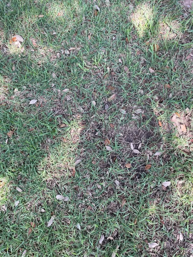 Local garden landscaping with custom design across Round Rock, TX - Emerald Lawns