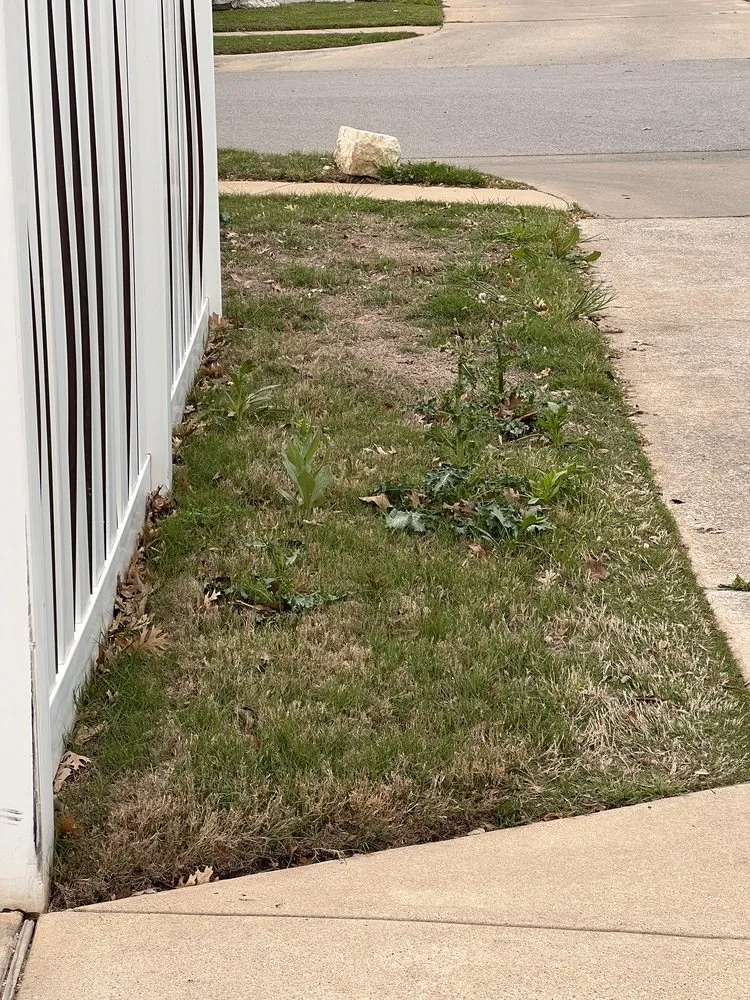 Expert landscape installation in Round Rock, TX - Emerald Lawns