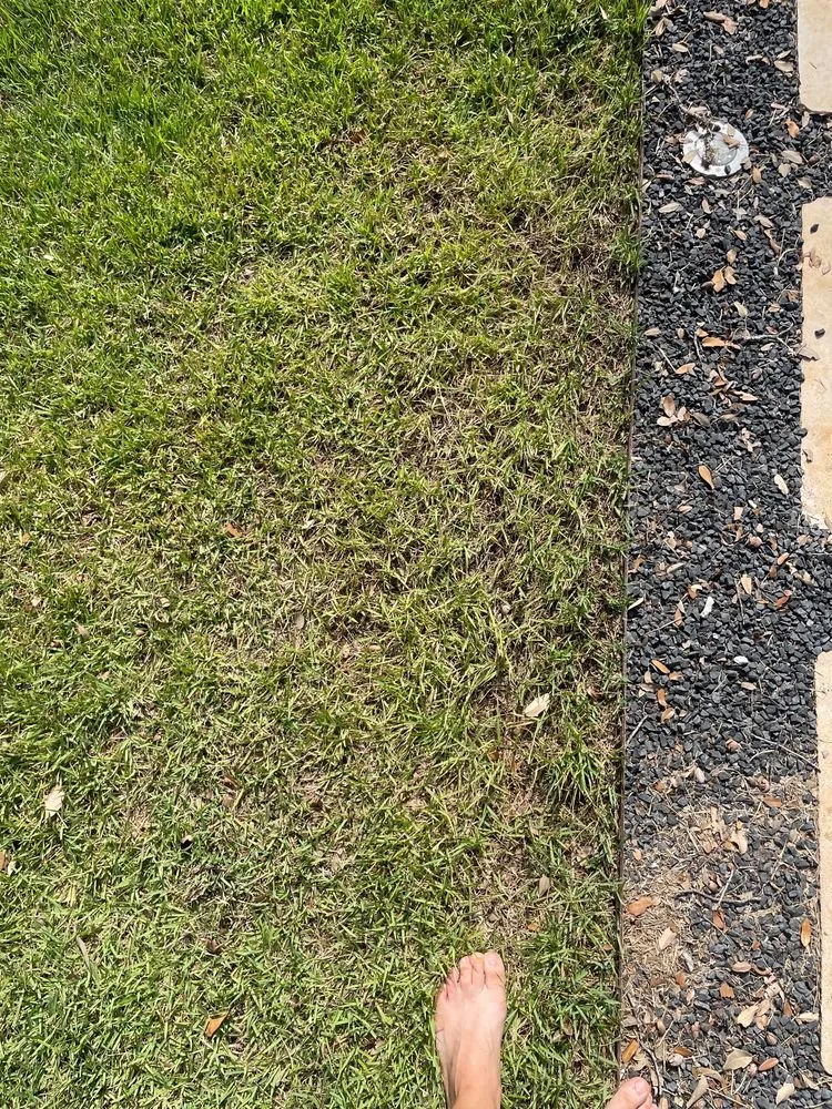 Custom landscape installation for outdoor upgrades across Round Rock, TX - Emerald Lawns