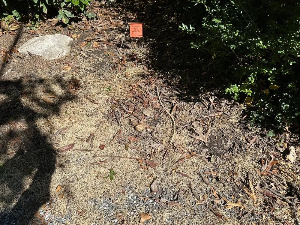 Trusted landscape design in Holtsville, NY - Emerald Magic Lawn Care