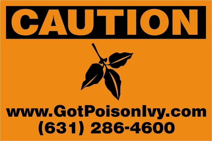 Top-rated yard cleanup service in Holtsville, NY by Emerald Magic Lawn Care