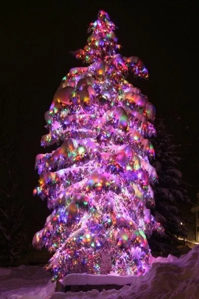 Local landscaping services for homes across Holtsville, NY - Emerald Magic Lawn Care